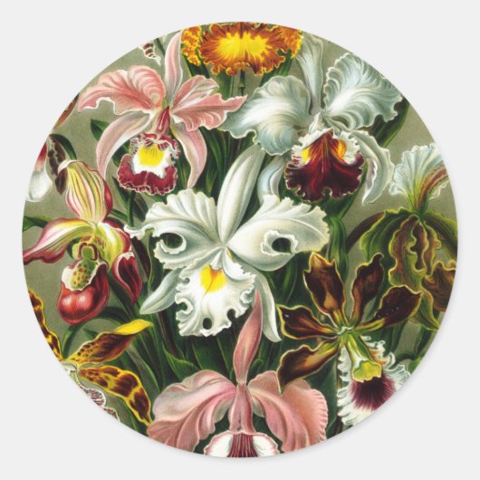 Orchideen Runder Aufkleber (Vorderseite)