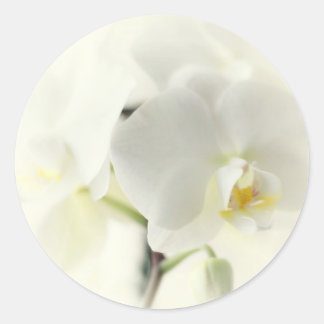 Orchideen Runder Aufkleber