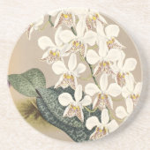 Orchideen Sandstein Untersetzer (Vorne)