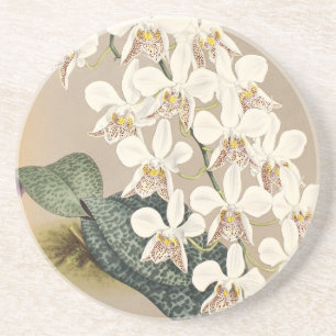 Orchideen Sandstein Untersetzer