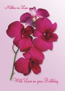 Geschenke Fur Schwiegermutter Zazzle De