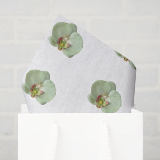 Orchideen-Seidenpapier Seidenpapier (Geschenktüte)
