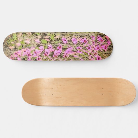 Orchideen Skateboard (Horizontal)