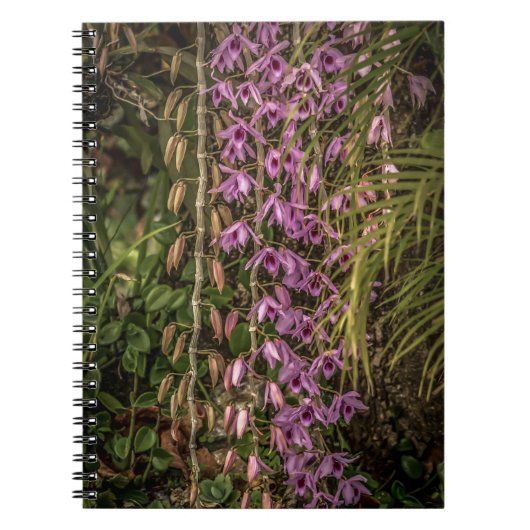 Orchideen-Spiral-Notizbuch Notizblock (Vorderseite)