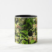 Orchideen Tasse (Zentrum)