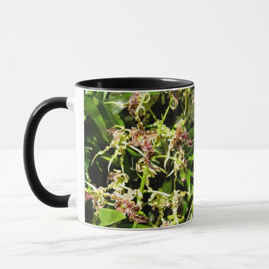 Orchideen Tasse (Links)