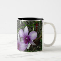 Orchideen-Tasse 5