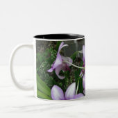 Orchideen-Tasse 5 Zweifarbige Tasse (Links)