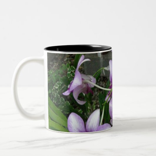 Orchideen-Tasse 5 Zweifarbige Tasse (Links)