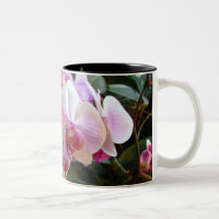 Orchideen-Tasse 6