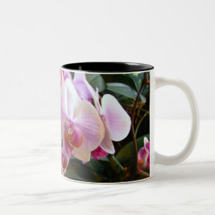 Orchideen-Tasse 6 Zweifarbige Tasse