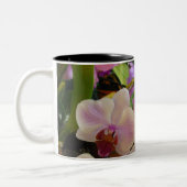 Orchideen-Tasse 6 Zweifarbige Tasse (Links)