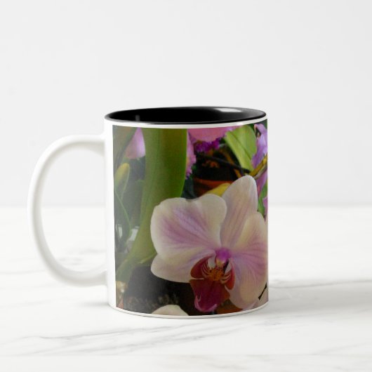 Orchideen-Tasse 6 Zweifarbige Tasse (Links)