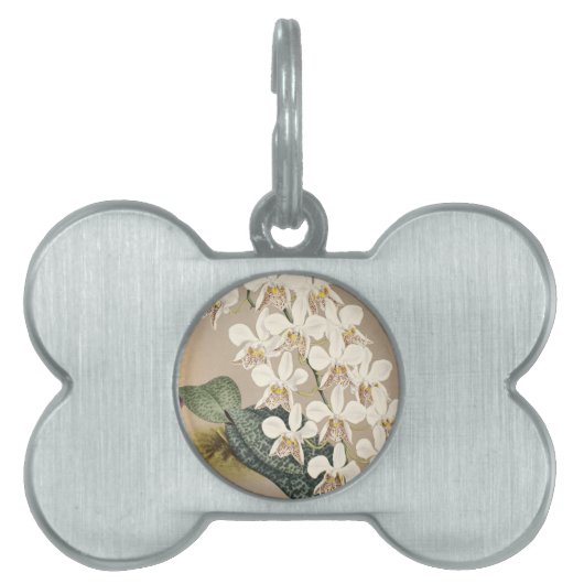 Orchideen Tiermarke (Vorderseite)