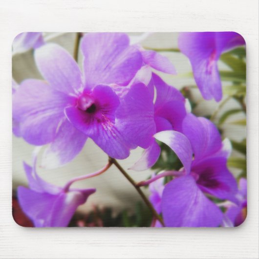 Orchideen-Träume Mousepad (Vorne)