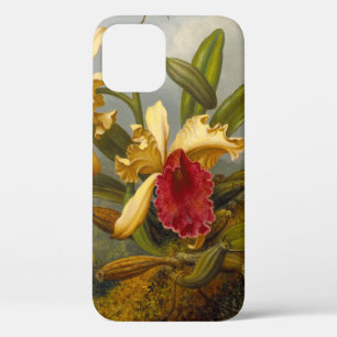 Orchideen und Hummingbird Heade Case-Mate iPhone Hülle