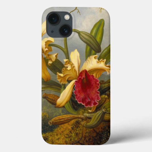 Orchideen und Hummingbird Heade Case-Mate iPhone Hülle (Rückseite)
