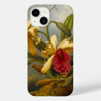 Orchideen und Hummingbird Heade