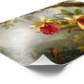 Orchideen und Hummingbird Heade Fotodruck (Ecke)