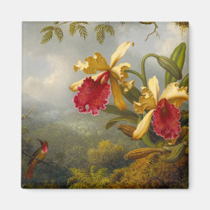 Orchideen und Hummingbird Heade Magnet