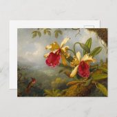 Orchideen und Hummingbird Heade Postkarte (Vorne/Hinten)