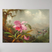 Orchideen und Kolibri von Martin Johnson Heade P Poster (Vorne)