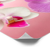 Orchideen und Schmetterlinge Poster (Ecke)