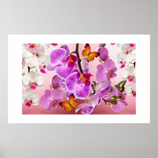 Orchideen und Schmetterlinge Poster (Vorne)