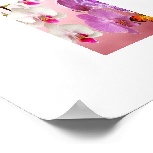 Orchideen und Schmetterlinge Poster (Ecke)