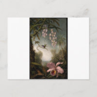 Orchideen und Spray Orchideen mit Hummingbird von 