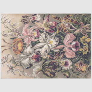 Orchideen von Ernst Haeckel Decoupage Seidenpapier