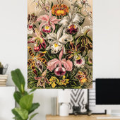 Orchideen von Ernst Haeckel Poster (Heimbüro)