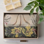 Orchideen von Ernst Haeckel Seidenpapier (Geschenk)