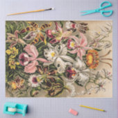 Orchideen von Ernst Haeckel Seidenpapier (Basteln)