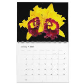 Orchideen-Wandkalender Kalender (Jan 2027)