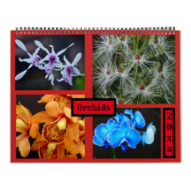 Orchideen-Wandkalender