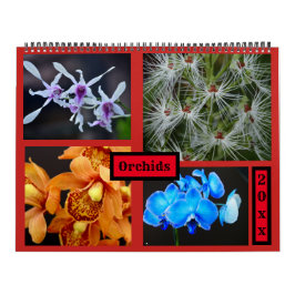 Orchideen-Wandkalender Kalender