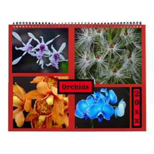 Orchideen-Wandkalender Kalender