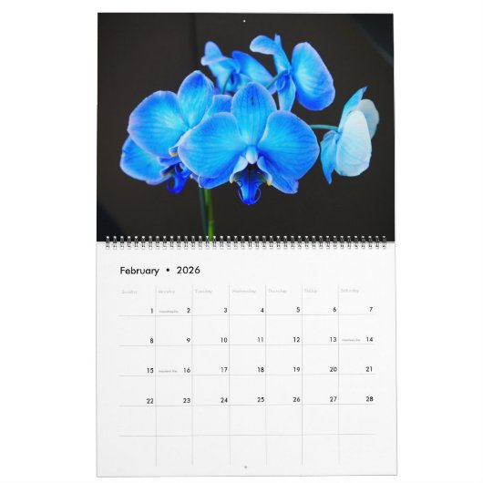 Orchideen-Wandkalender Kalender (Feb 2026)
