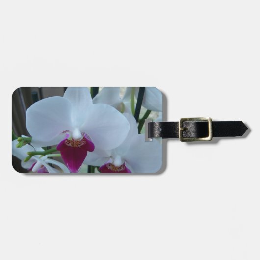 Orchideen, weiß und lila gepäckanhänger (Vorderseite horizontal)