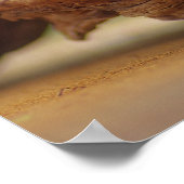 Orchideen Wellness Oase Poster (Ecke)