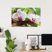 Orchideen Wellness Oase Poster (Heimbüro)