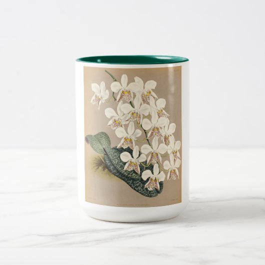 Orchideen Zweifarbige Tasse (Mittel)