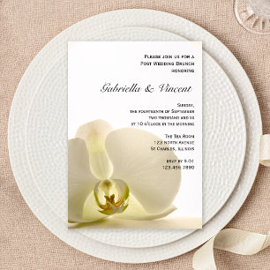 Orchideenblüte auf weißer Hochzeits-Brunch-Einladu Einladung