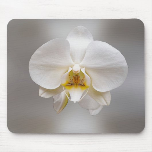 Orchideenblüte Mousepad (Vorne)