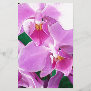 Orchideenblüten in rosa briefpapier