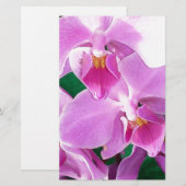 Orchideenblüten in rosa briefpapier (Vorne/Hinten)