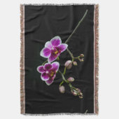 Orchideenfarbe in rosa Farbe in schwarz Decke (Vorderseite Vertikal)