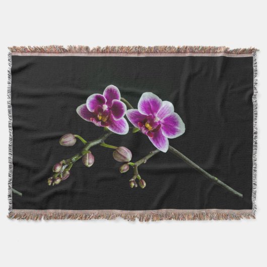 Orchideenfarbe in rosa Farbe in schwarz Decke (Vorderseite)