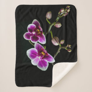 Orchideenfarbe in rosa Farbe in schwarz Sherpadecke
